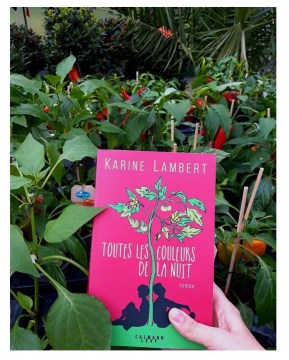 "Toutes les couleurs de la nuit" de Karine Lambert