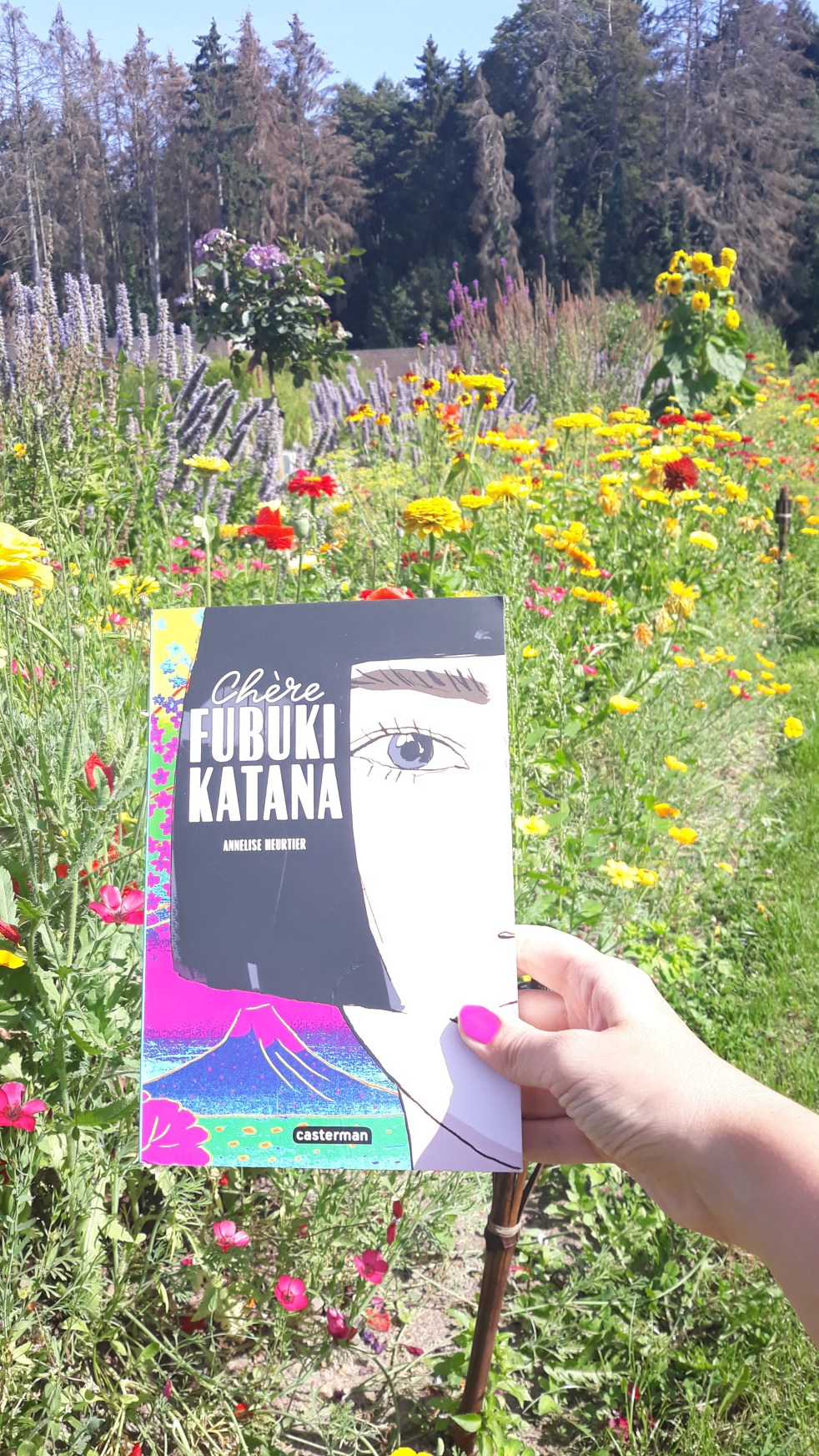 "Chère Fubuki Katana" d'Annelise Heurtier