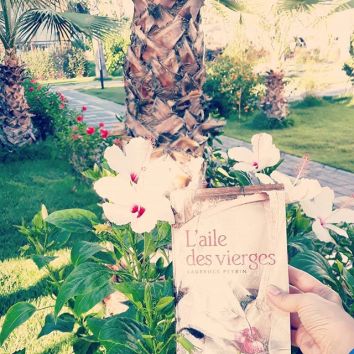 66645033_150564916008390_6974674465020105027_n