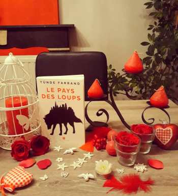 72542480_153286612704989_2093737461596483035_n(1)