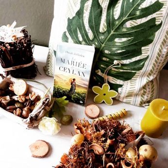 49858534_2076516295771801_4935517744902458847_n