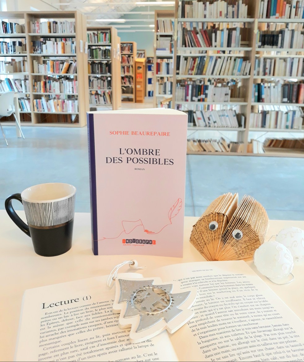 l'ombre des possibles Sophie Beaurepaire