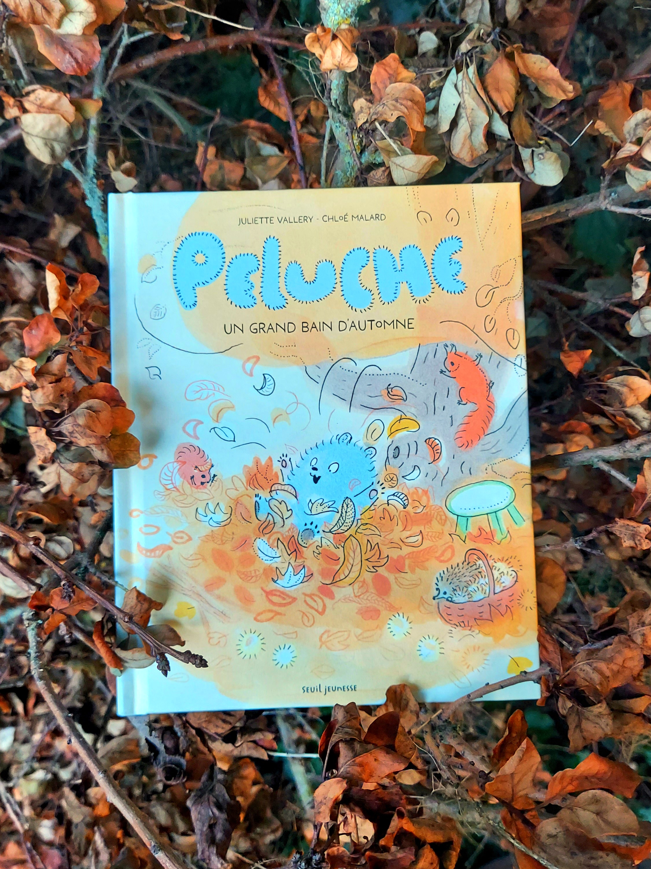 Peluche : un grand bain d'automne » est un album jeunesse de Juliette Vallery et Chloé Malard