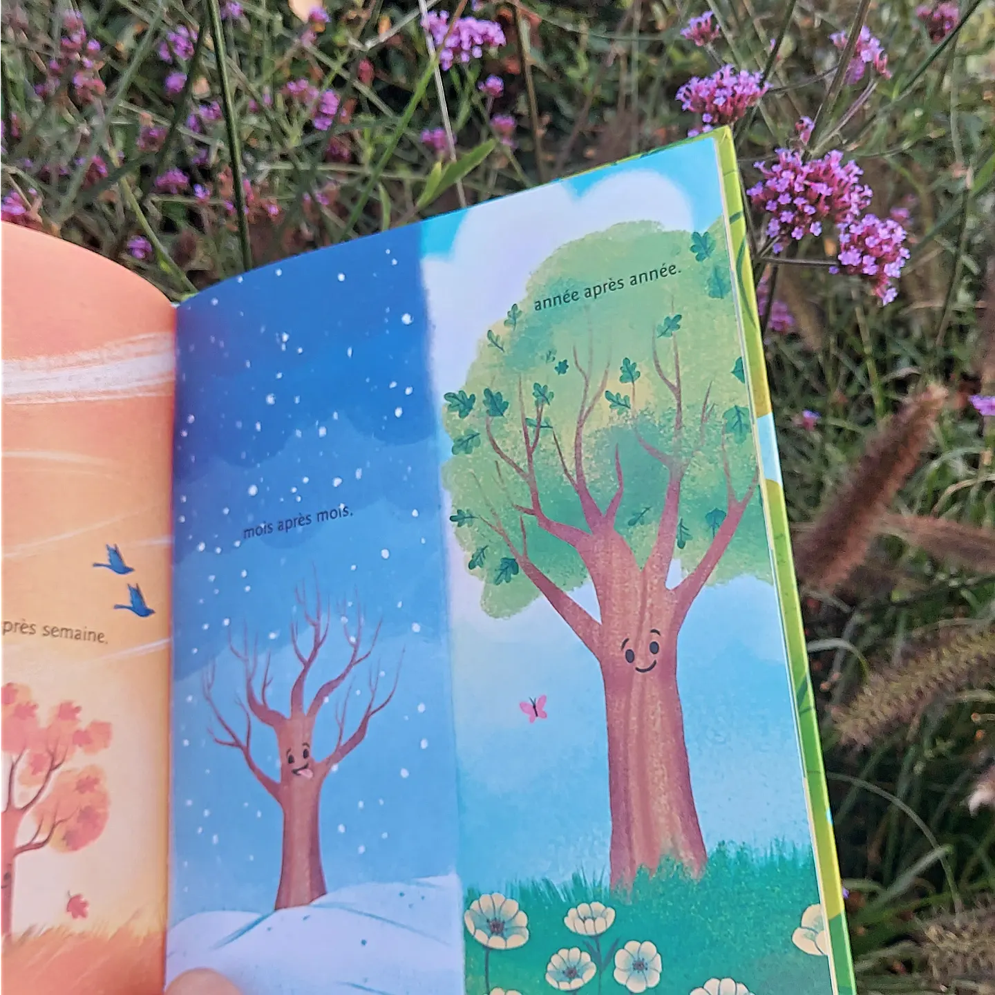 « Petit gland » est un album jeunesse écrit par Jen Arena et illustré par Jessica Gibson