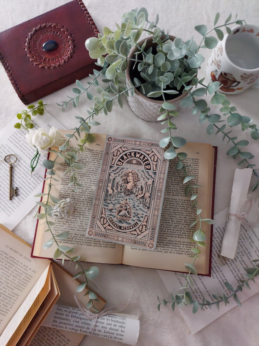 Blackwater 1 la crue de Michael McDowell