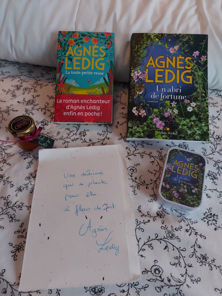 « Un abri de fortune » d'Agnès Ledig