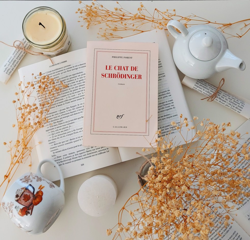 « Le chat de Schrödinger » de Philippe Forest