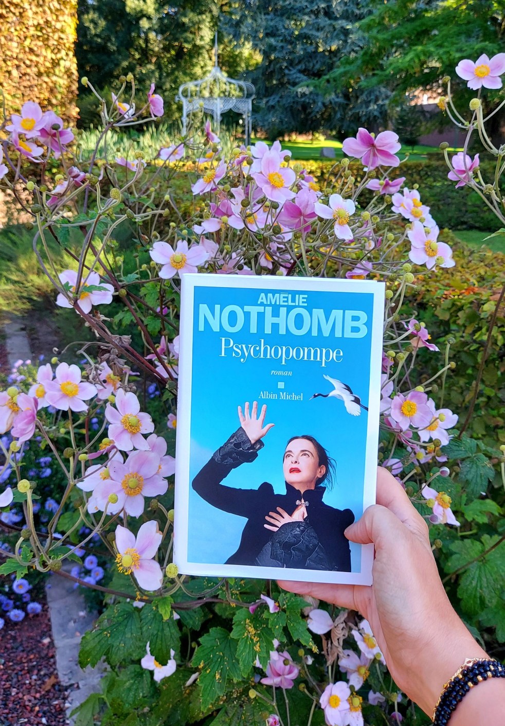 Psychopompe d'Amélie Nothomb