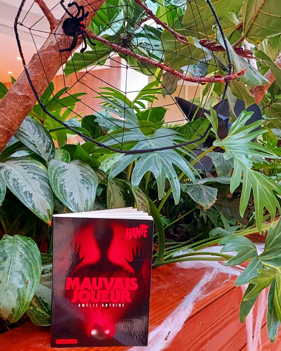 Mauvais joueur d'Amélie Antoine