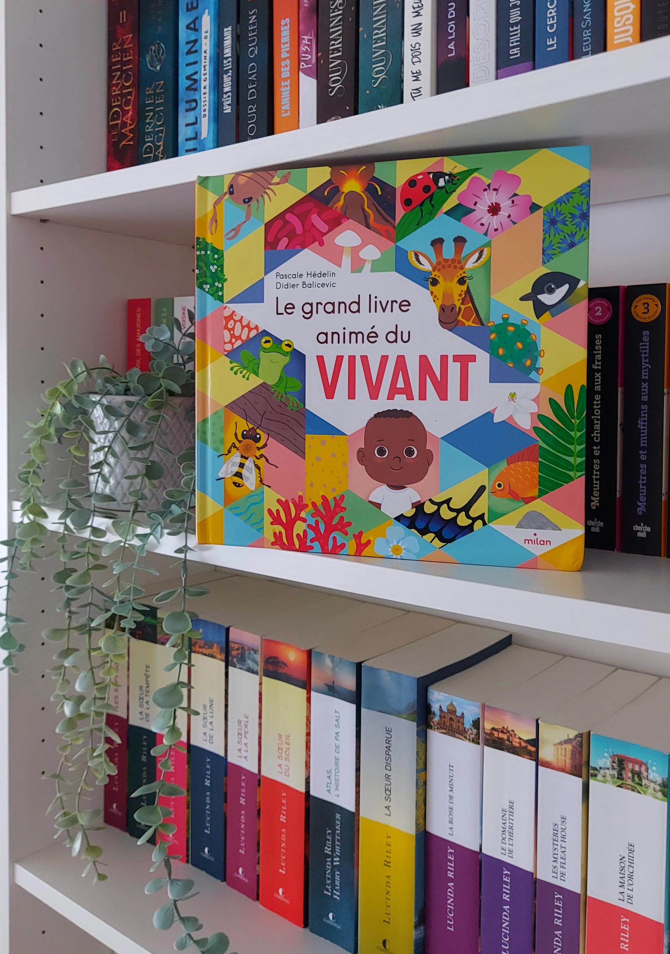 « Le grand livre animé du vivant », publié par les éditions Milan à la fin de l'année 2023. Rédigé par Pascale Hédelin et illustré par Didier Balicevic