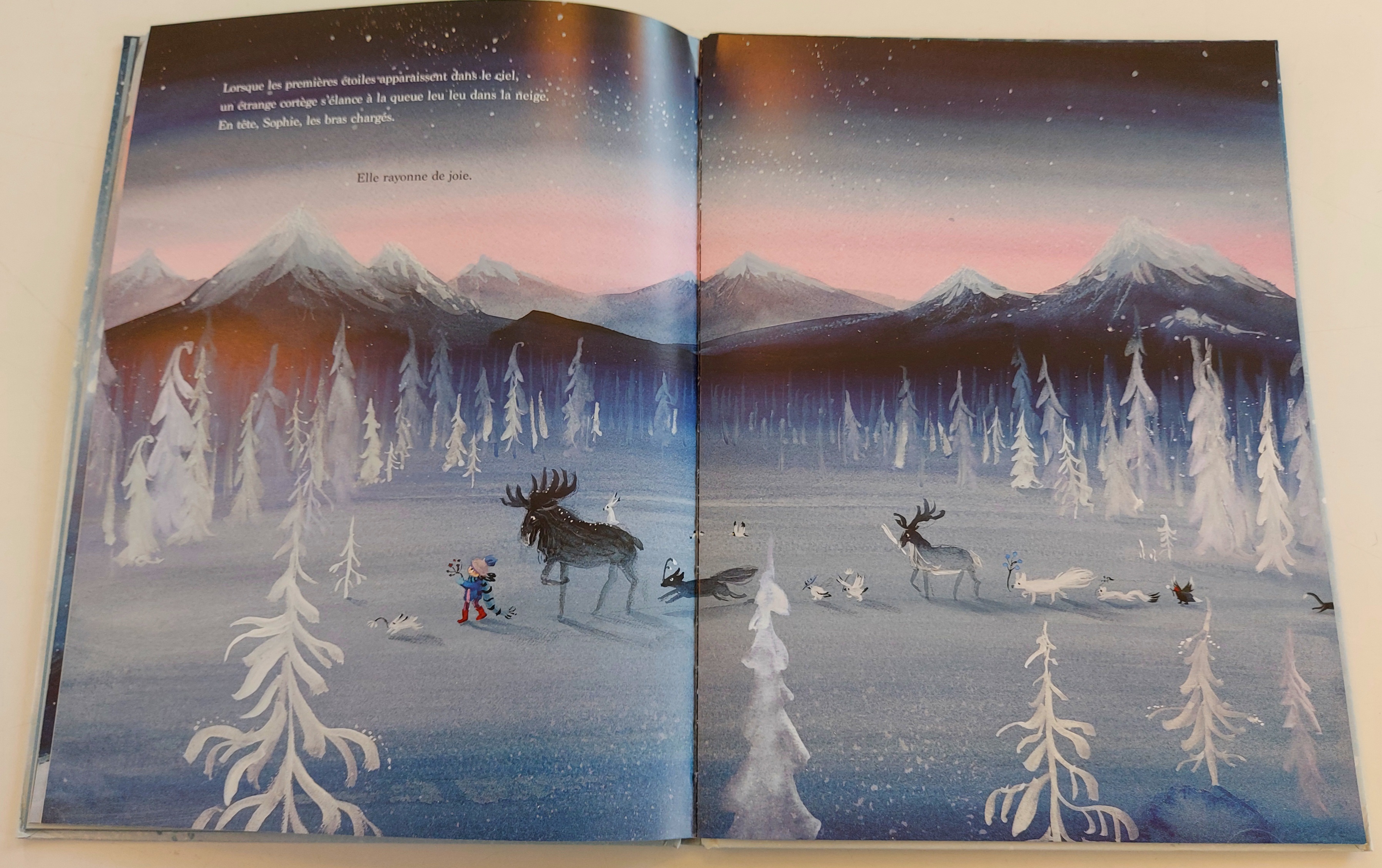 « Quelque part dans la neige » de Linde Faas