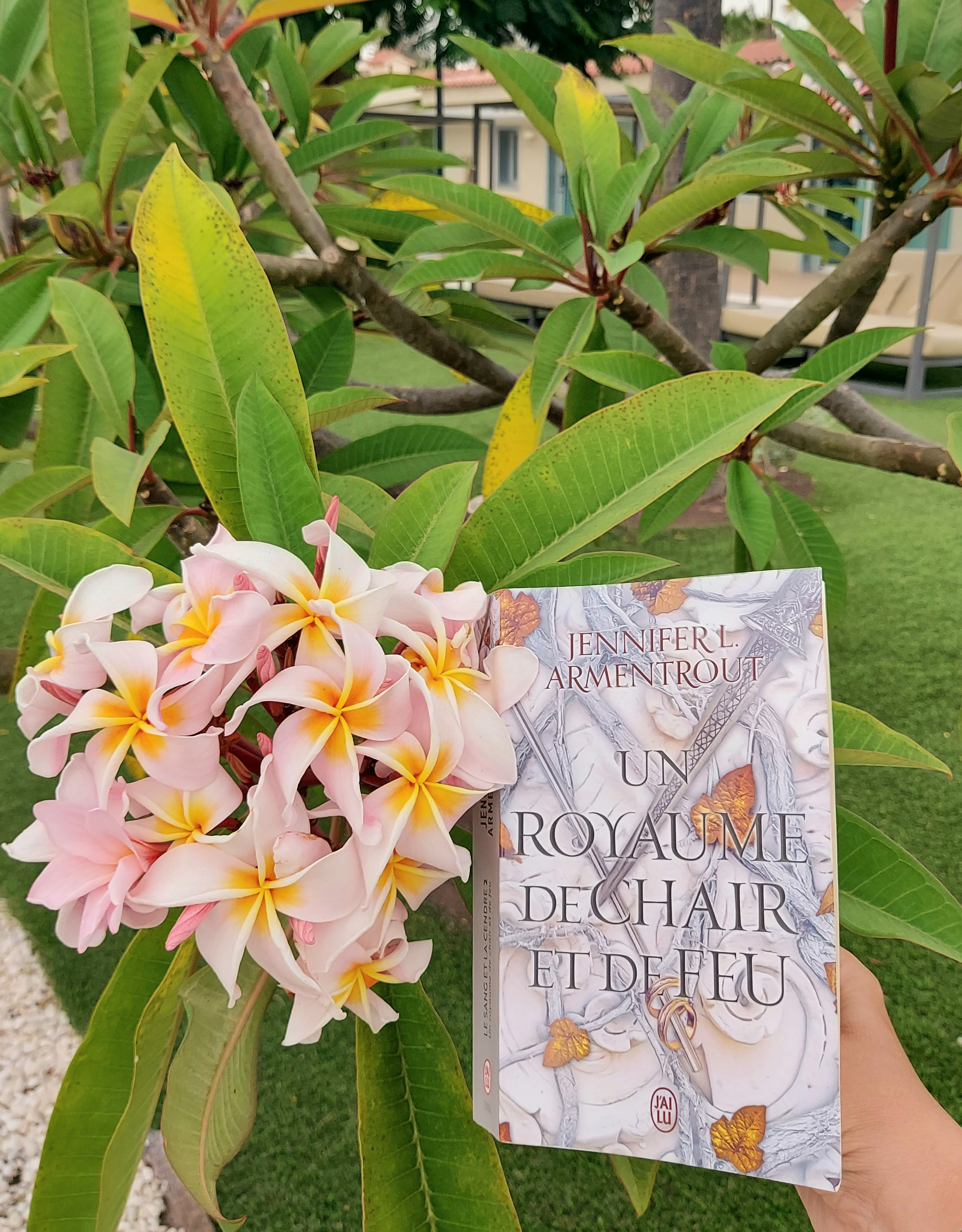 « Un royaume de chair et de feu » de Jennifer L. Armentrout