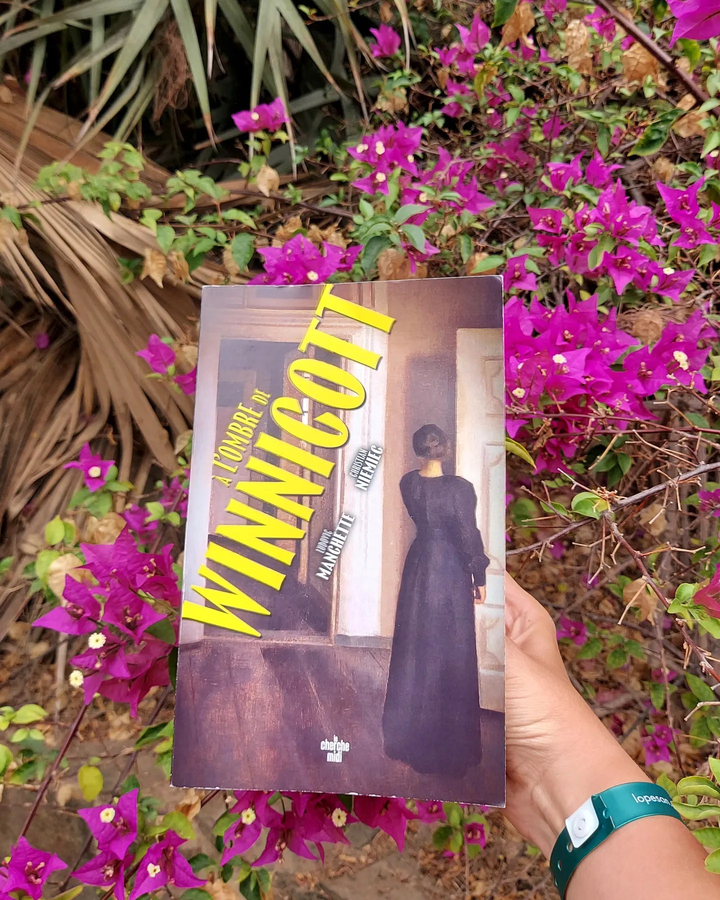 « A l'ombre de Winnicott »