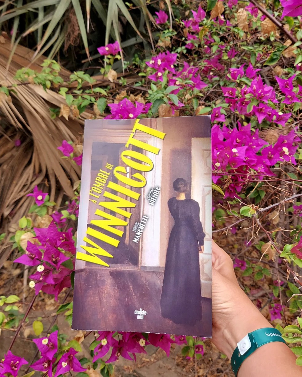 « A l'ombre de Winnicott »